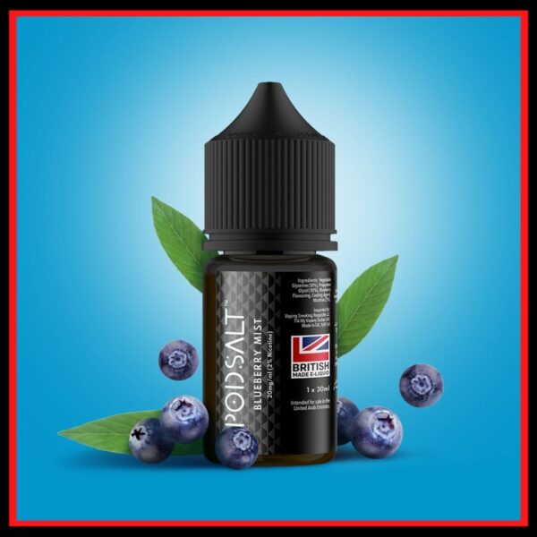 pod salt blueberry mist 30ml