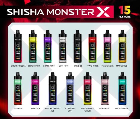 SHISHA MONSTER X 30000 PUFFS