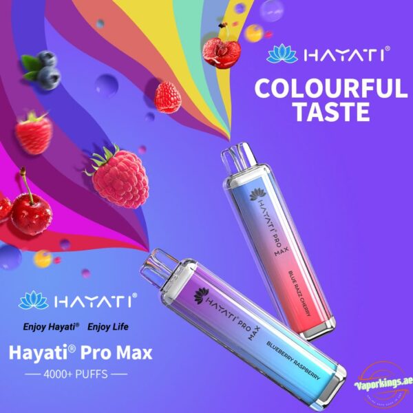Hayati Pro Max 4000 Puffs