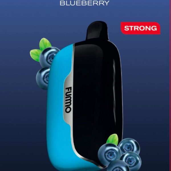 Fummo Power 15000 Puffs Disposable Vape Blueberry