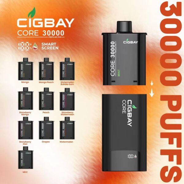 cigbay core 30k puffs prefilled pod